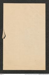 Nachlass Franz Steindachner, Brief von Christophe Bellotti an Franz Steindachner (15.03.1881), Inv.Nr. 32.03, Seite 4